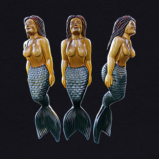 Color Mermaids by Timber Cove